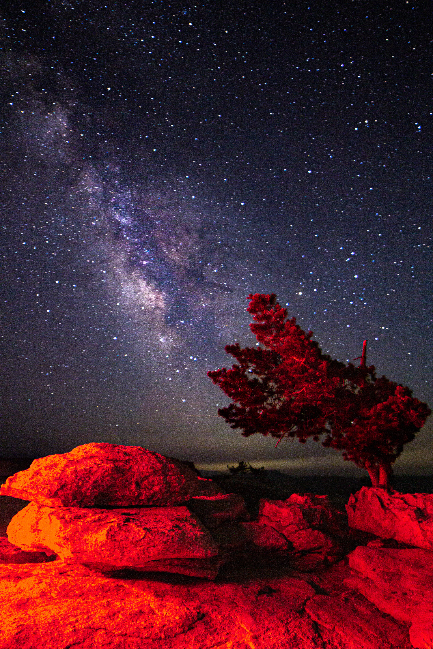 Sentinel Dome Stars (2588) 08-08-2021.jpg