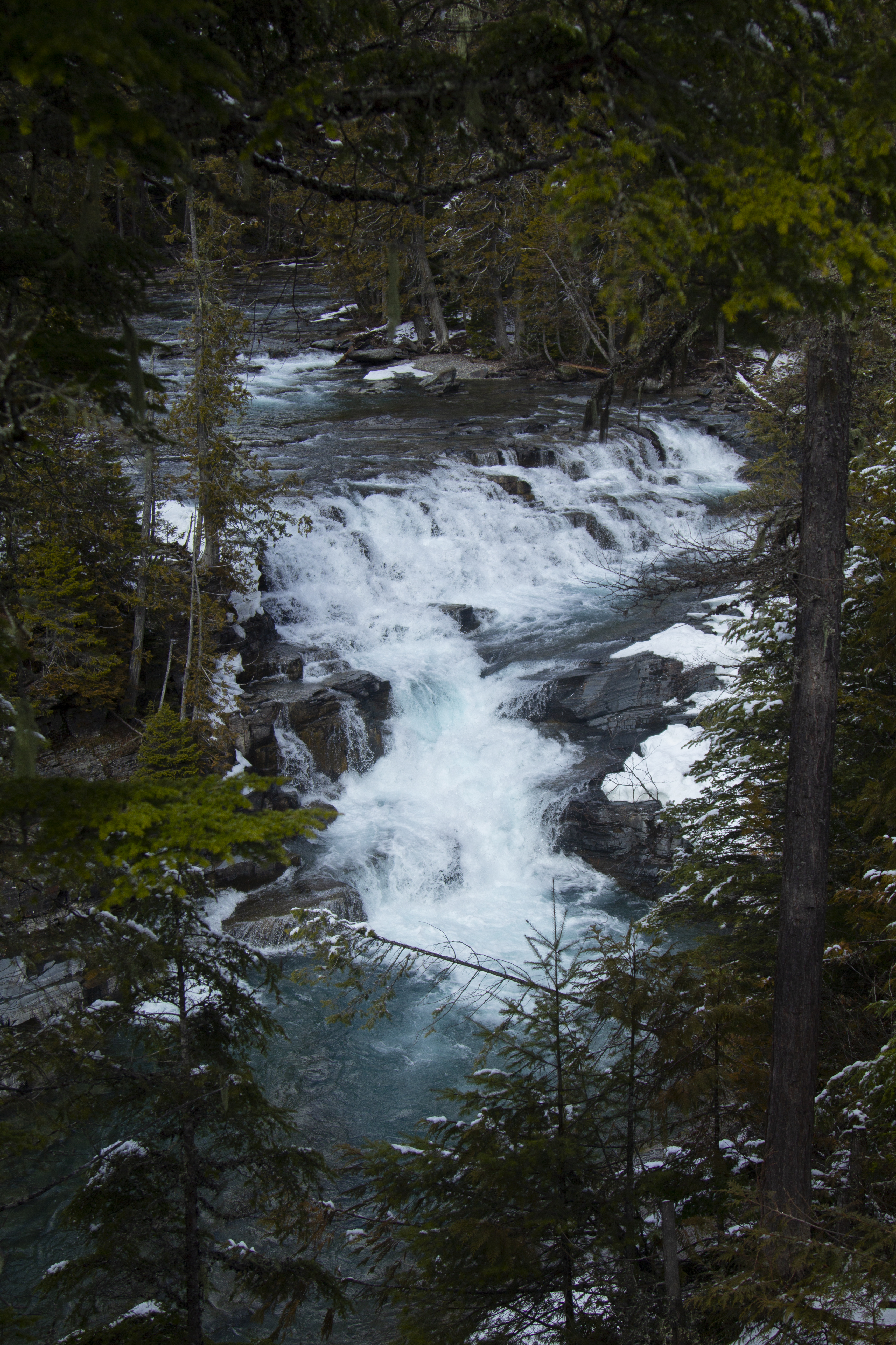 IMG_1366.jpg