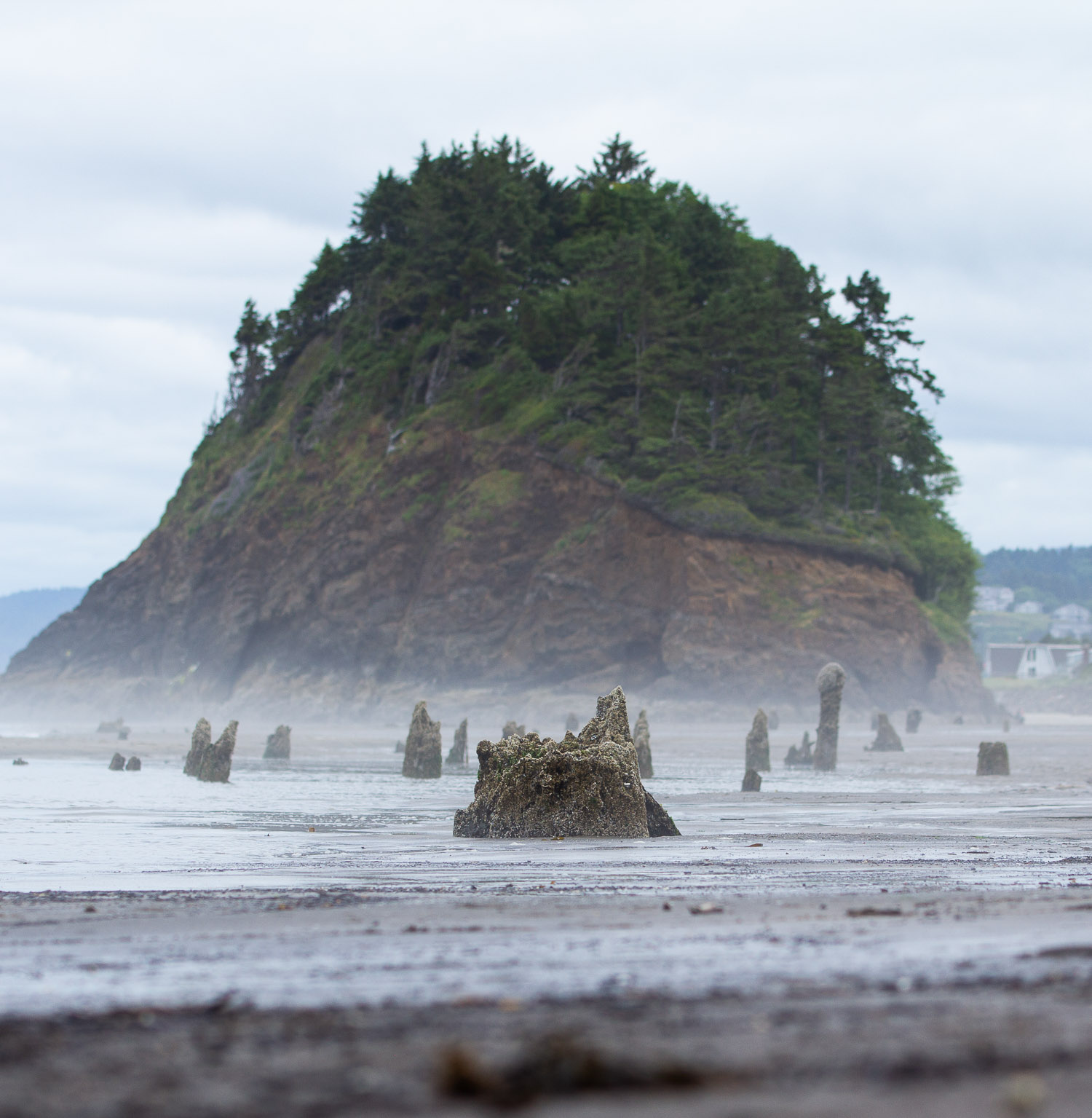 Neskowin Beach 07-03-2022 (9571).jpg