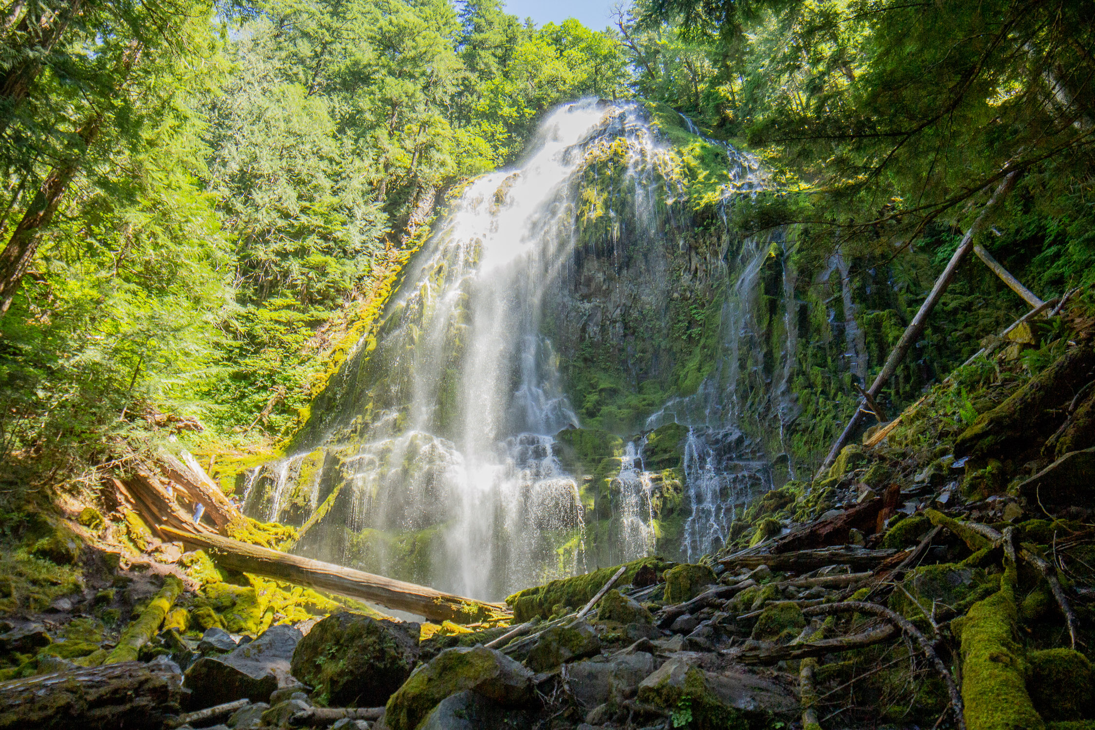 Proxy Falls (8751) 07-16-2020.jpg